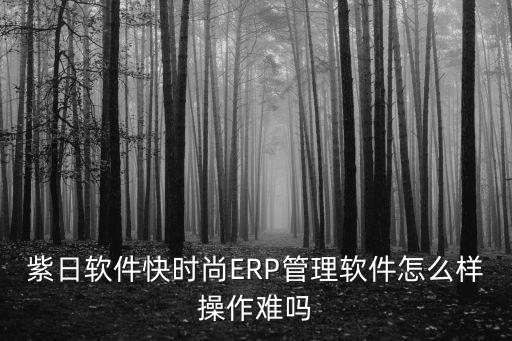 紫日软件快时尚ERP管理软件怎么样操作难吗