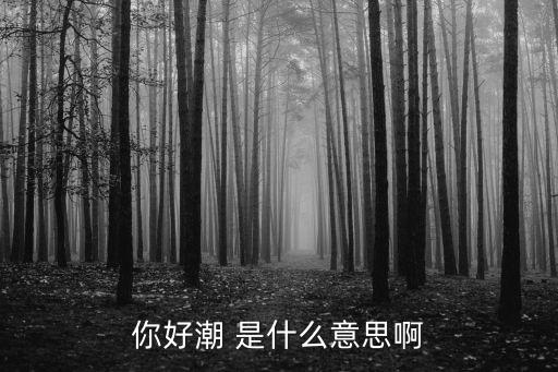 你好潮 是什么意思啊