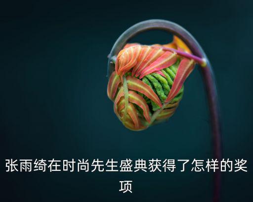 张雨绮在时尚先生盛典获得了怎样的奖项