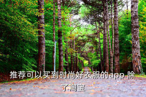 推荐可以买到时尚好衣服的app 除了淘宝