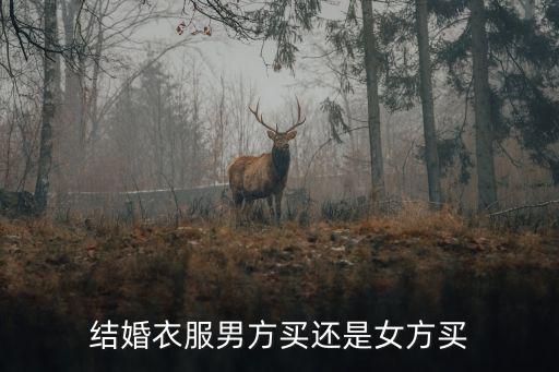结婚衣服男方买还是女方买