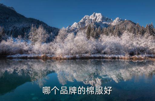 哪个品牌的棉服好