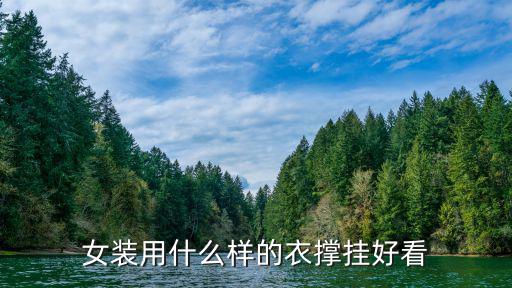 女装用什么样的衣撑挂好看