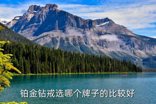 铂金钻戒选哪个牌子的比较好