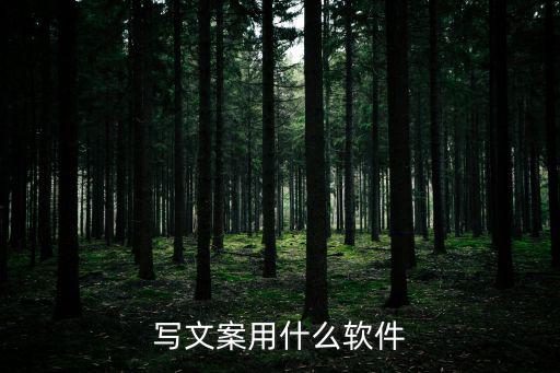 写文案用什么软件