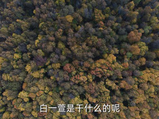 时尚博主忙什么，对潮牌服装感兴趣可以做什么工作