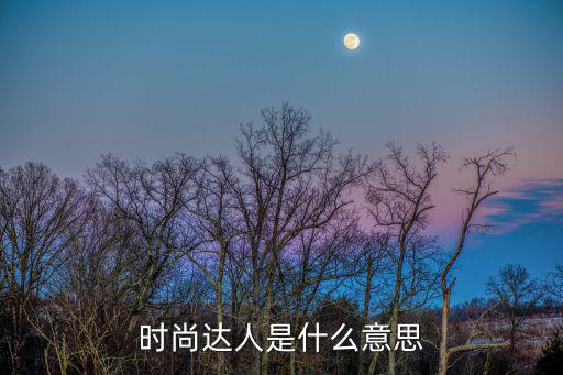 时尚达人是什么意思