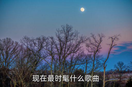 现在最时髦什么歌曲