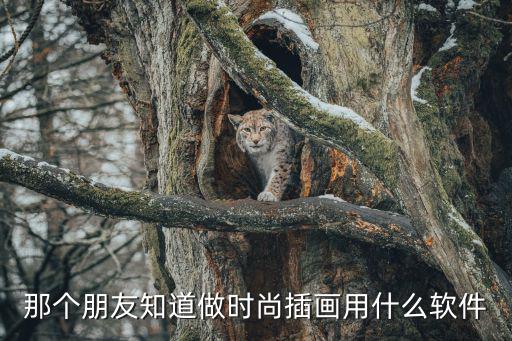 服装时尚插画配色软件哪个好，那个朋友知道做时尚插画用什么软件
