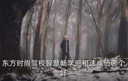 东方时尚驾校智慧畅学班和速成班哪个好