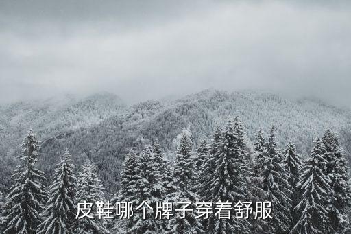皮鞋哪个牌子穿着舒服