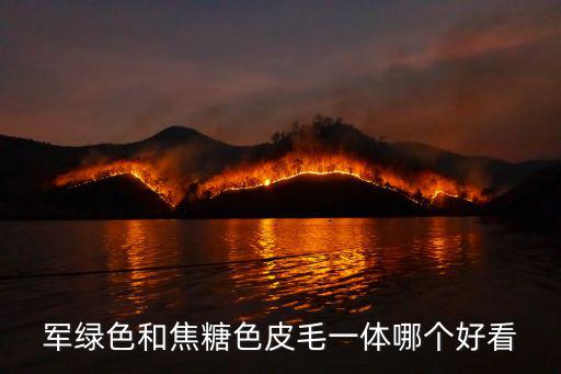 军绿色和焦糖色皮毛一体哪个好看