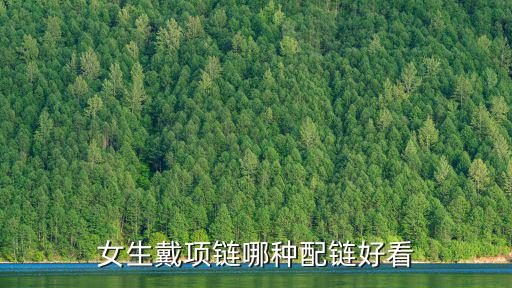 瓜子链和盒子链哪个时尚，问一下银项链中瓜子链元宝链盒子链哪种更好看哪种更舒服呢谢谢