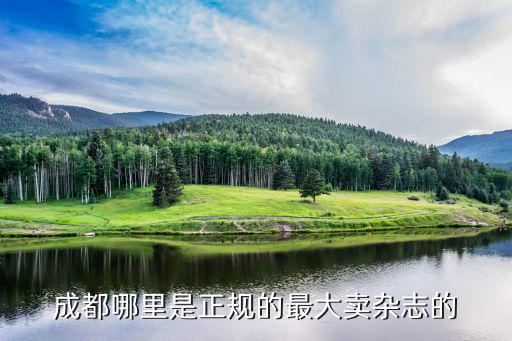 成都哪里是正规的最大卖杂志的