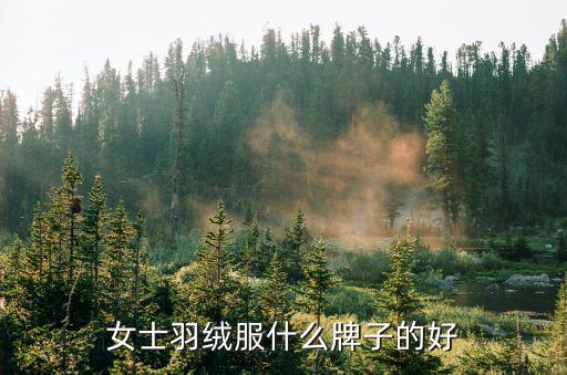 女士羽绒服什么牌子的好