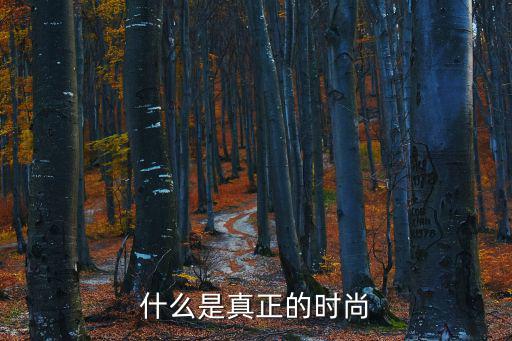 什么是真正的时尚