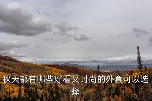 秋天都有哪些好看又时尚的外套可以选择