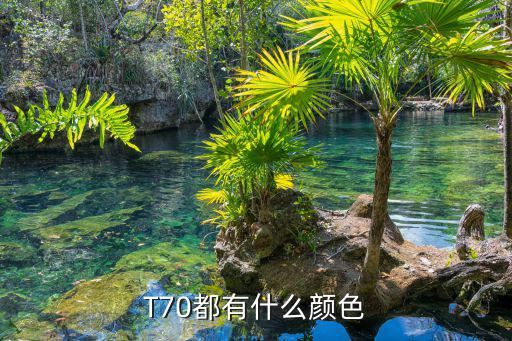 T70都有什么颜色