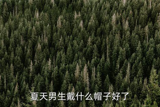 夏天男生戴什么帽子好了