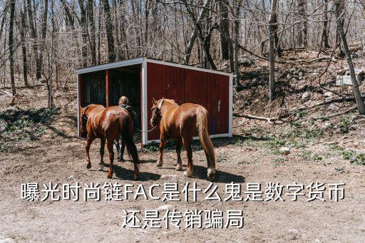 时尚链什么意思，FAC时尚链怎么交易