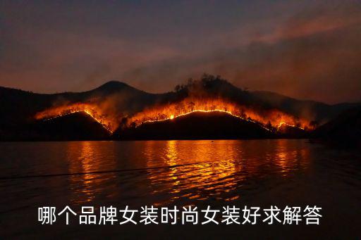 哪个品牌女装时尚女装好求解答