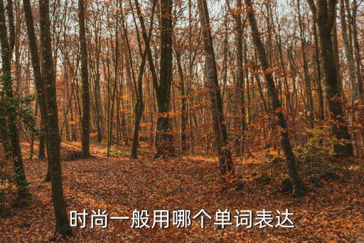 时尚一般用哪个单词表达