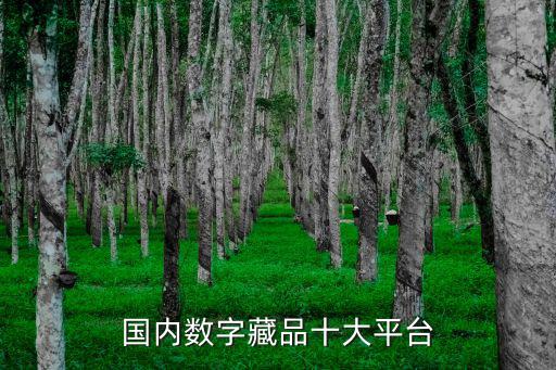 国内数字藏品十大平台