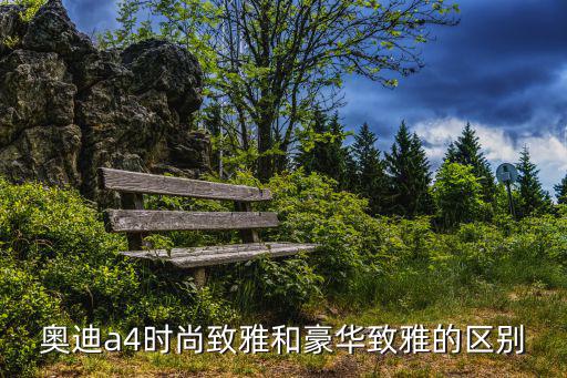 豪华雅致和时尚雅致哪个好，2020款奥迪A4L豪华动感型两驱和时尚致雅型两驱配置上有哪些不同