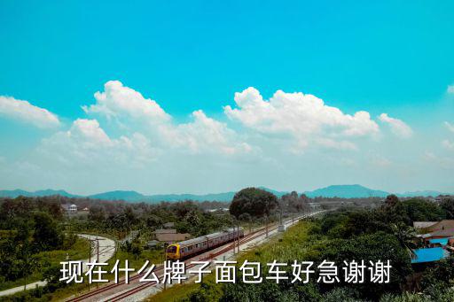 时尚面包车哪个牌子好，买面包车什么牌子好