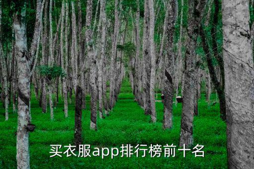 买衣服app排行榜前十名