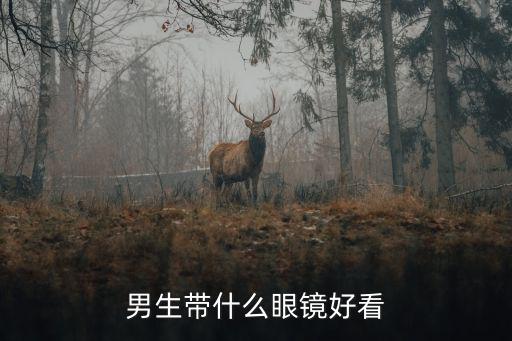 男生戴什么眼镜时尚，2012年男生流行带什么眼镜