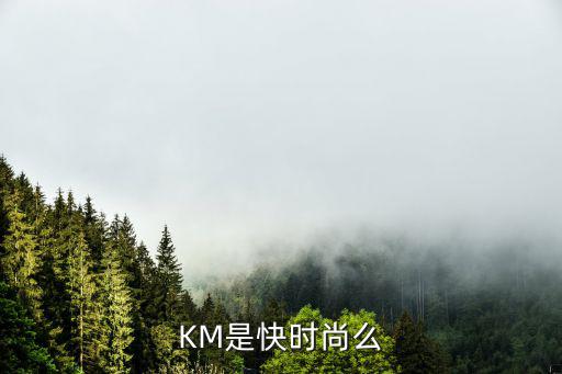 线上快时尚是什么，KM是快时尚么