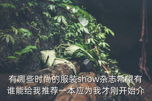有哪些时尚的服装show杂志希望有谁能给我推荐一本应为我才刚开始介