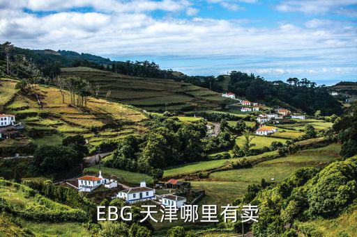 EBG 天津哪里有卖
