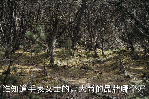 谁知道手表女士的高大尚的品牌哪个好