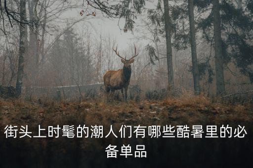 街头上时髦的潮人们有哪些酷暑里的必备单品