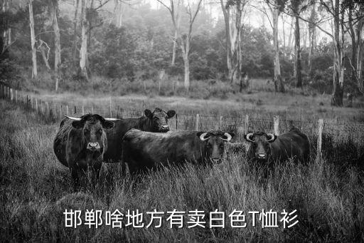邯郸市哪个地方衣服时尚，邯郸啥地方有卖白色T恤衫