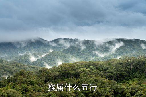 猴属什么五行
