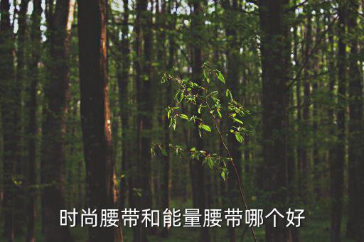 时尚腰带和能量腰带哪个好