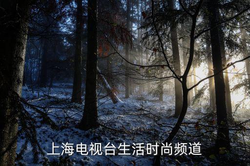 生活时尚是哪个台在播放，上海电视台生活时尚频道