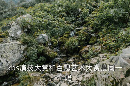 kbs演技大赏和百想艺术大赏是同一个吗