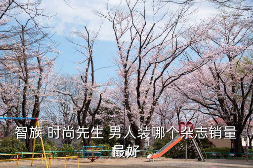 智族 时尚先生 男人装哪个杂志销量最好