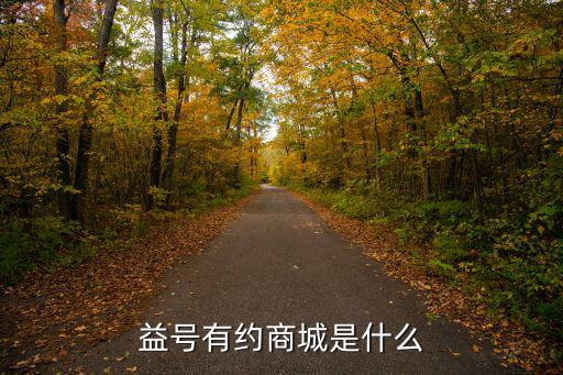 益号有约商城是什么