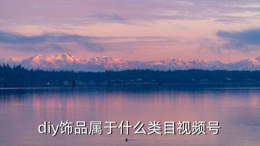 diy饰品属于什么类目视频号