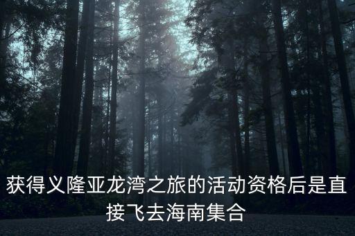 获得义隆亚龙湾之旅的活动资格后是直接飞去海南集合