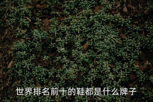 世界排名前十的鞋都是什么牌子