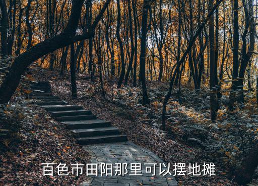 百色市田阳那里可以摆地摊