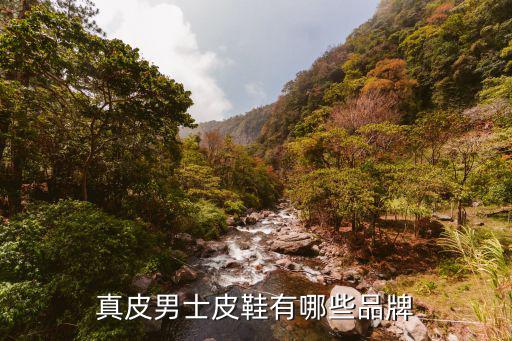 男士皮鞋什么品牌好，男 皮鞋 哪个品牌舒服 暇步士 百丽 红蜻蜓 梦特娇