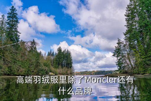 羽绒服除了蒙口还有什么品牌，高端羽绒服里除了Moncler还有什么品牌