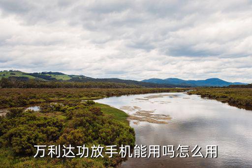 万利达功放手机能用吗怎么用